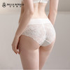 【配套底裤】皇家丽美夏季透气轻薄蕾丝性感配套底裤K116-K1 商品缩略图4