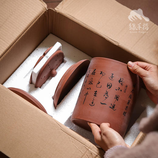 活力陶芽乐罐（发芽罐，随机送两包生态豆子）| 公平贸易 *Sprouting jar | Fair-Trade 商品图4