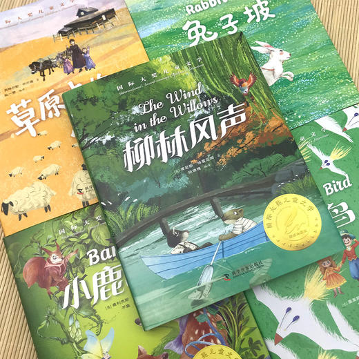 国际获奖儿童文学(全5册)—绿盒 商品图2
