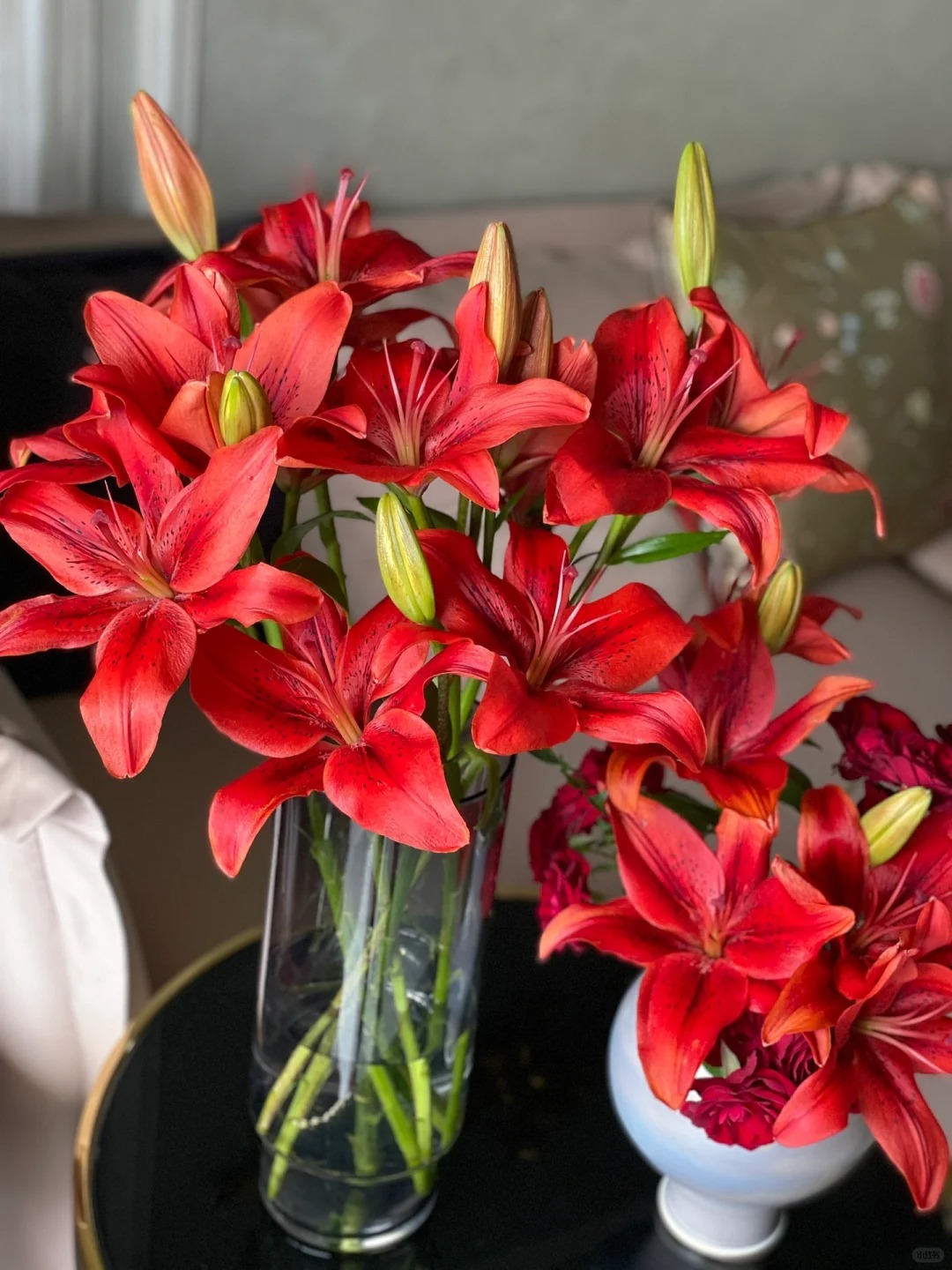 红宝石多头百合5支