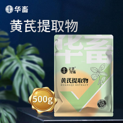 【社群专享】黄芪多糖500g 抗病利尿排毒消肿补气益血高含量 高浓度 大包装 商品图1