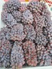 茉莉香葡萄 1000g 商品缩略图1