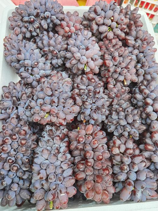 茉莉香葡萄 1000g 商品图1