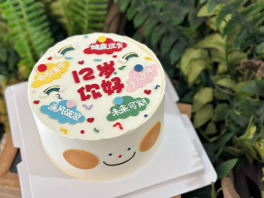 你好，少年，翻糖文字蛋糕，提前24小时以上预定 商品图2