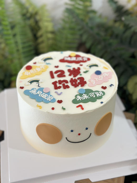 你好，少年，翻糖文字蛋糕，提前24小时以上预定 商品图4