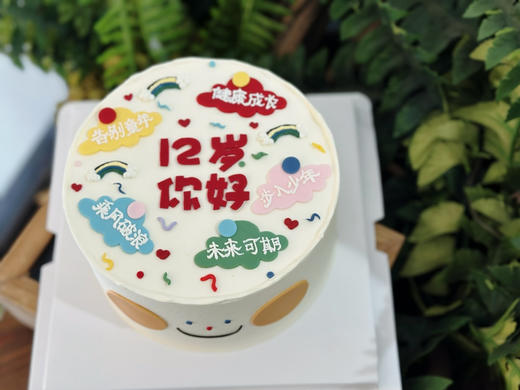 你好，少年，翻糖文字蛋糕，提前24小时以上预定 商品图1