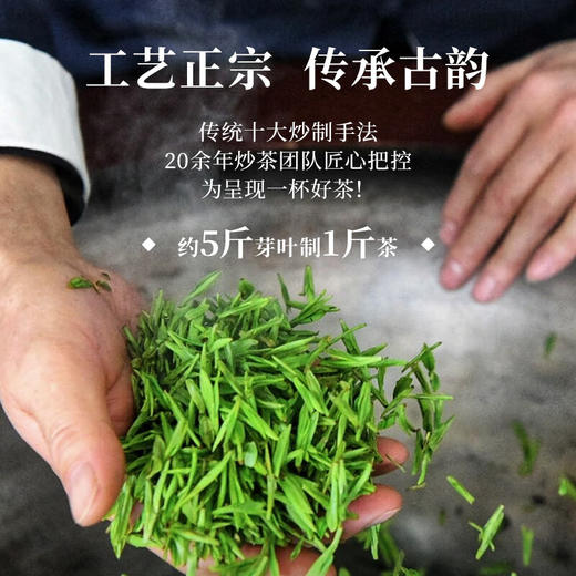 【预计上市时间3月中旬】2026中茶金中茶·狮峰龙井70g中粮绿茶礼盒装 商品图2