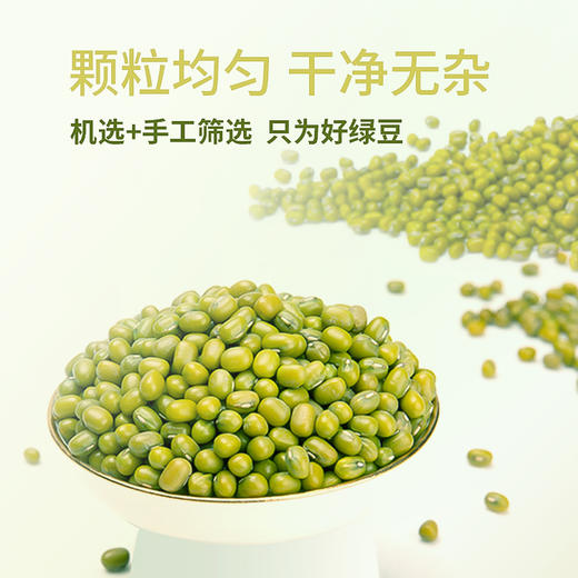 老爷岭绿豆1kg/袋 商品图4