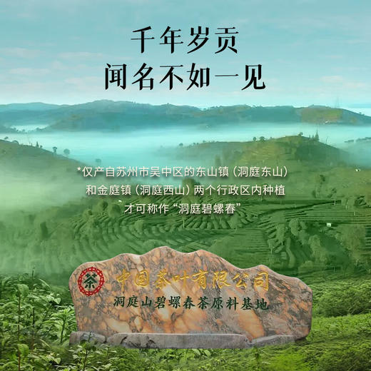 【预计3月中下旬上市】2026中茶抢鲜木盒-洞庭山碧螺春茶250g 中粮出品 商品图4