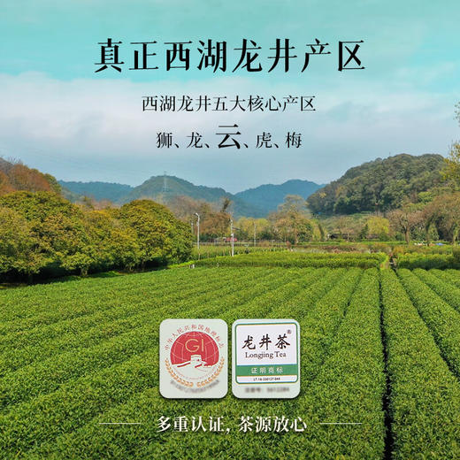 【预计3月中下旬上市】2026中茶抢鲜木盒-西湖龙井茶250g中粮出品 商品图4