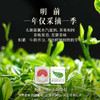 【预计3月中下旬上市】2026中茶抢鲜木盒-洞庭山碧螺春茶250g 中粮出品 商品缩略图3