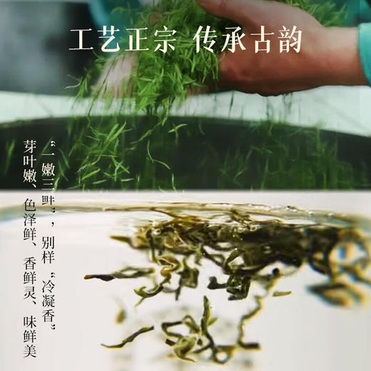 【预计3月中下旬上市】2026中茶抢鲜木盒-洞庭山碧螺春茶250g 中粮出品 商品图1