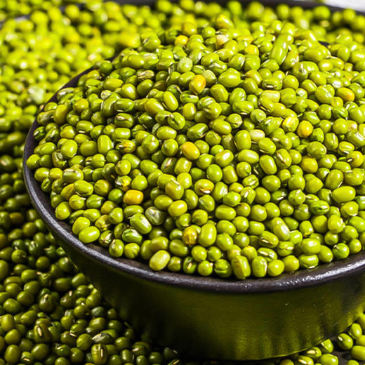 老爷岭绿豆1kg/袋 商品图2
