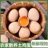 霖勉 新鲜农家散养土鸡蛋 30枚/50枚精选土鸡蛋 谷物喂养 新鲜现捡 整箱京东快递 48小时内发货 商品缩略图1