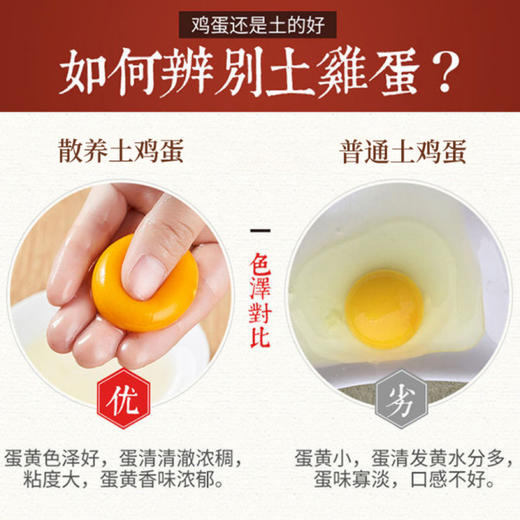 霖勉 新鲜农家散养土鸡蛋 30枚/50枚精选土鸡蛋 谷物喂养 新鲜现捡 整箱京东快递 48小时内发货 商品图14