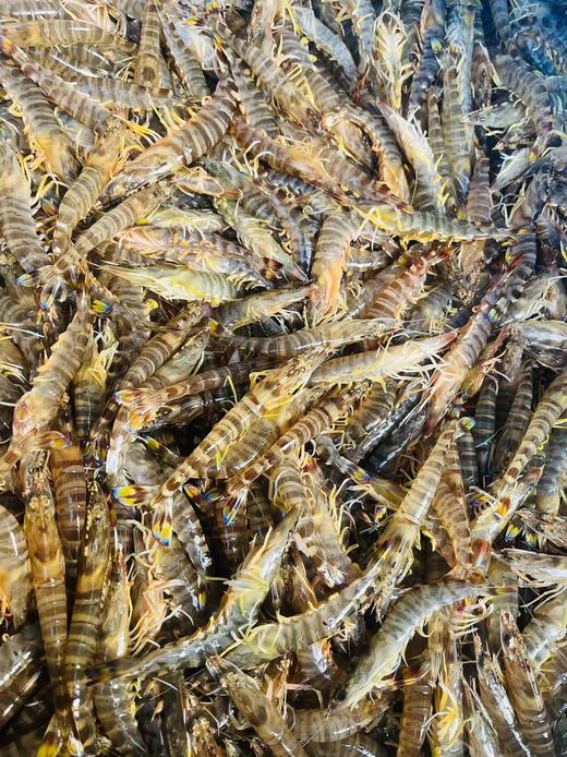 【周六到】鲜活充氧基围虾 250-300克/箱 到家后存活率70%左右 商品图2