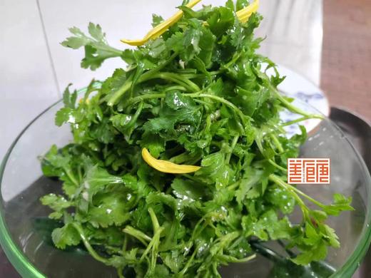 爽口 菊花叶 商品图0