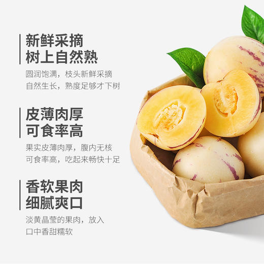 新鲜水果 清脆爽口人参果盒装 6枚/盒 商品图1