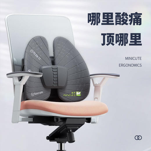 【谷歌、保时捷、北京三甲医院 合作品牌】德国米乔护脊版撑腰腰靠 全支撑 儿童 成人均可用 山姆腰撑连续7年销量NO.1品牌 商品图0