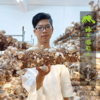 生态赤松茸 | 绿家自产* Ecological stropharia rugoso | Self-production 商品缩略图3