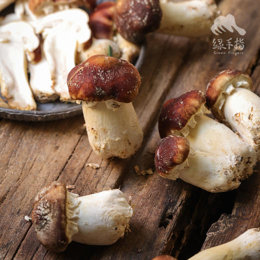 生态赤松茸 | 绿家自产* Ecological stropharia rugoso | Self-production 商品图1