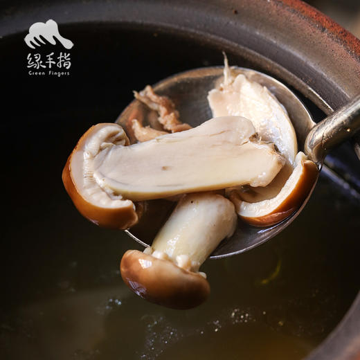 生态赤松茸 | 绿家自产* Ecological stropharia rugoso | Self-production 商品图2
