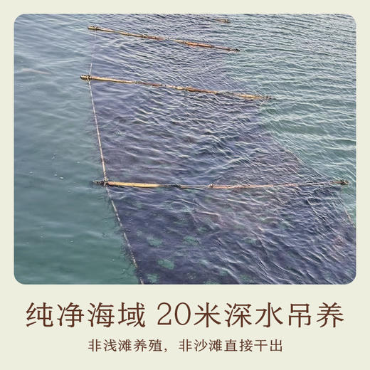 南食召 头水紫菜 商品图2