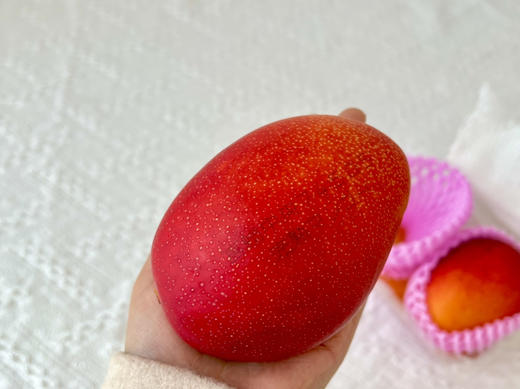 【预售】🇯🇵宫崎太阳之子芒果——真正的瓜熟蒂落，果肉柔软，细腻且多汁。 商品图5