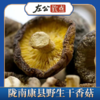 陇南康县野生干香菇 个大肉厚 天然无硫  干货类任选两件包邮 250g 商品缩略图2