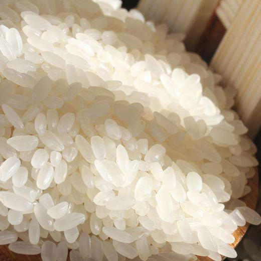 禾园常 长粒香大米2.5kg  东北大米当季新米 商品图4