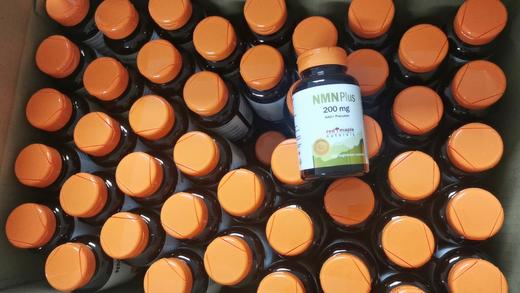 Redmaple NMN 120粒200mg/粒 整瓶含量高达24000mg   保质期到2027年1月 商品图2