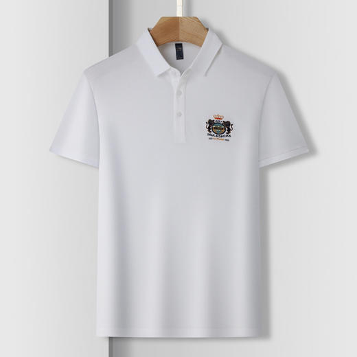 【含桑蚕丝】罗蒙男士夏季商务polo衫男短袖男夏季薄款绣花冰丝t恤男短袖 商品图1