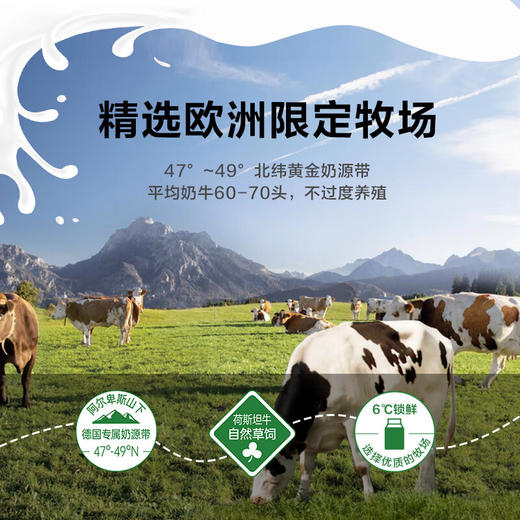 中粮上质德国全脂纯牛奶礼盒200ml*10 商品图6