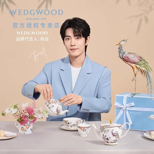 【样品特惠4.5折，仅1个，无货退款】WEDGWOOD威基伍德幸运彩雀骨瓷茶壶370家用咖啡壶欧式 商品图4