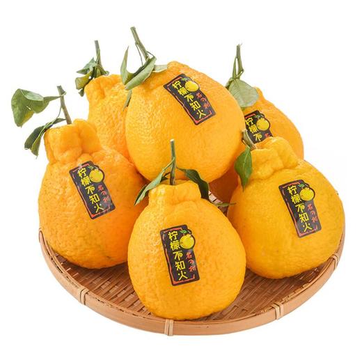 柠檬不知火柑橘 约1kg/份 商品图2