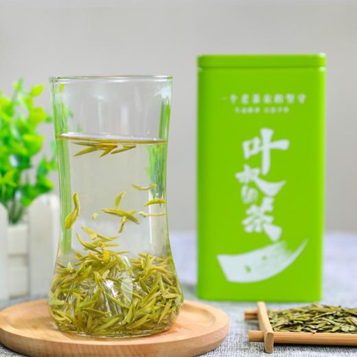 2026年叶叔的茶 陇南明前高山龙井 雨前高山龙井 茶园直供 鲜爽好喝 顺丰包邮 商品图2