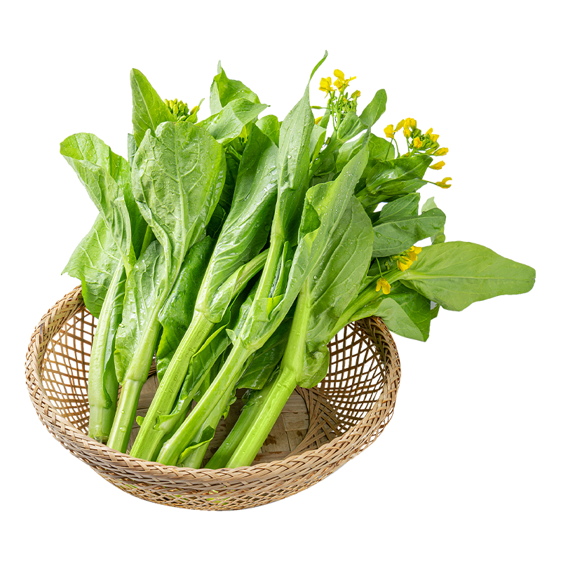 新鲜蔬菜  白菜苔500g