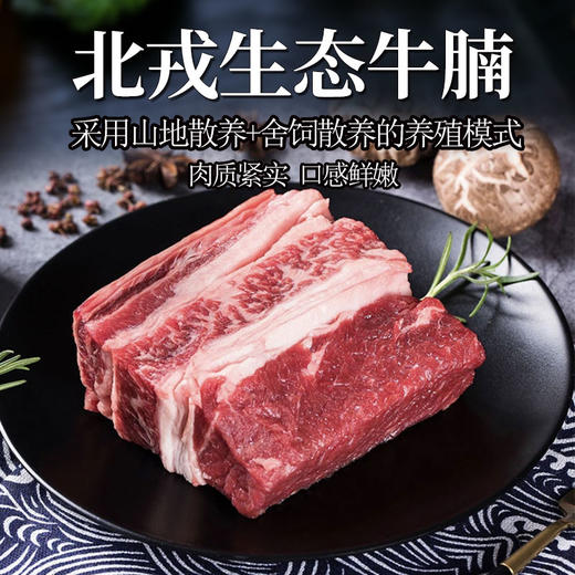 彩虹雨 生态牛肉 牛腩500g 无抗生素 全国发货满额包邮 商品图0