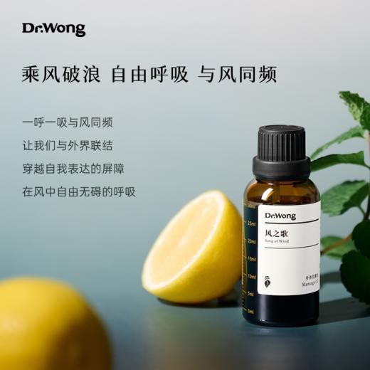 风之歌 护理油 30ml 商品图4