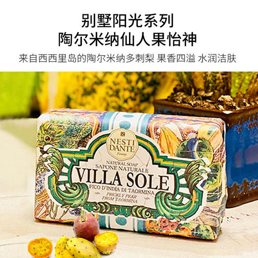 意大利内斯蒂丹特沐浴皂250g 花香果香柑橘香点缀多效合一 117873/117874/117875 商品图3