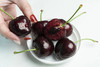大连艺树家✈️俄8黑珍珠樱桃🍒纯甜又浓郁 商品缩略图11
