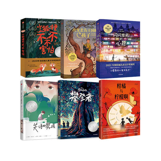改变悲伤王国的孩子+闪闪发光的心愿+攀登者+柑橘与柠檬啊（青少版）+失语的男孩+小狐狸不，不，不害怕（套装6册） 商品图0