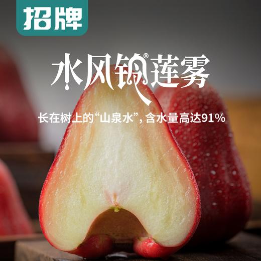 PAGODA百果园 招牌-水风铃莲雾（大）3斤装 商品图1