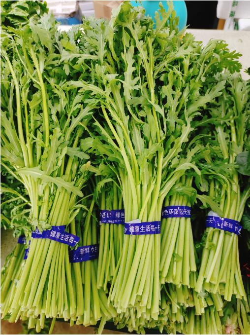 茼蒿2斤 商品图0