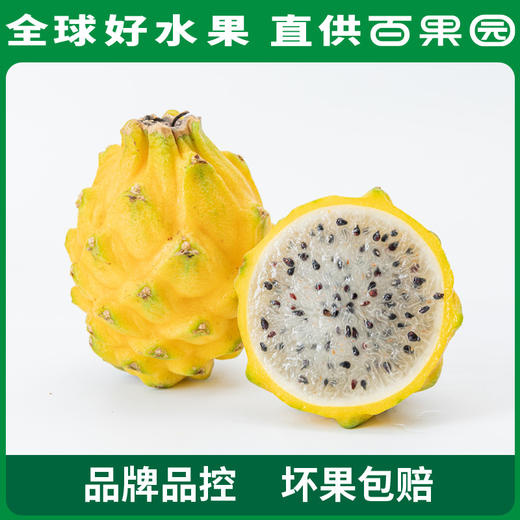 PAGODA百果园 招牌-一品官燕窝果（中）6粒装 商品图1