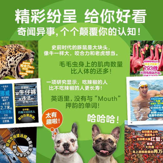 美国国家地理·世界真奇妙全3辑6岁以上科普读物 商品图8