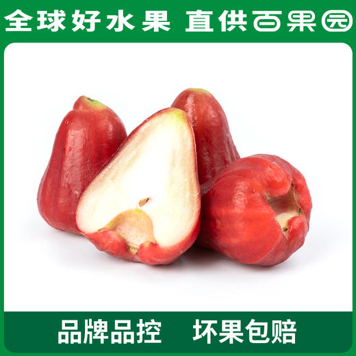 PAGODA百果园 招牌-水风铃莲雾（大）3斤装 商品图2