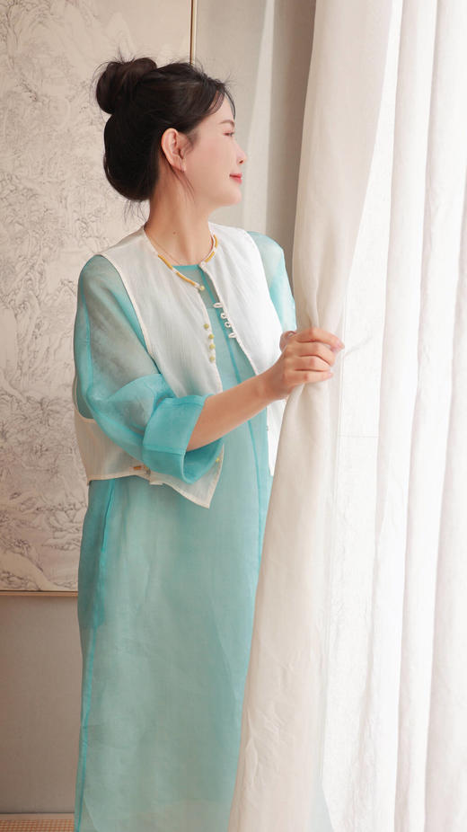 【抖音专属】【和光同尘】马甲（23704220山矾） 商品图2