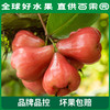 PAGODA百果园 招牌-水风铃莲雾（大）3斤装 商品缩略图4