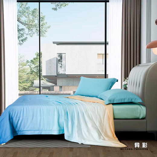 鑫缘 舒爽可水洗纯桑蚕丝被 AEPE0320 商品图1